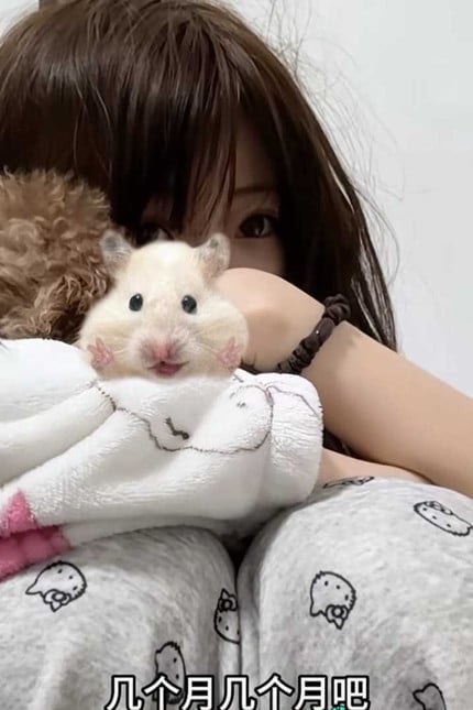 抖音20w粉丝网红邪恶小酥肉曝光前男友❤️深情少女真心错付 惨遭背叛！-老宋论坛