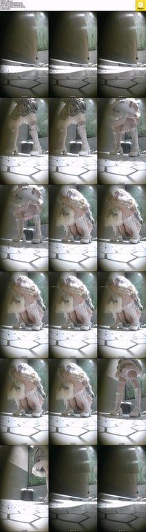 【厕拍】多位极品白虎 小姐姐拉稀不擦屁股[1.86G/00:28:18/17V/ 配图2