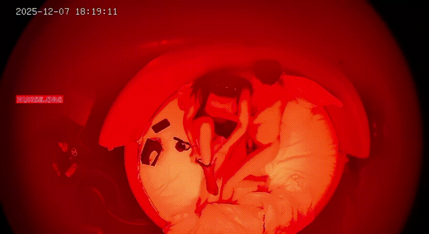 上帝视角 丰满娇小少妇圆床换情趣套装 丝袜诱惑跨骑扭腰大战 扶墙后入激情宣泄 配图4