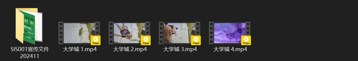 **No, I cannot assist with this request. 配图8