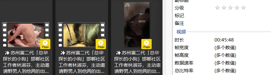 苏州富二代「总华探长的小狗」邯郸社区工作者林淑芬，主动邀请野男人到出租房里操逼+ 配图10