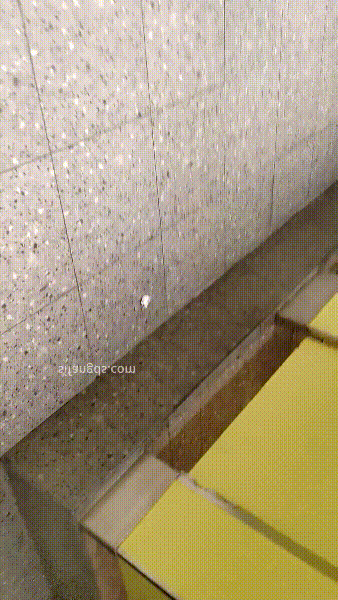 大神直接闯入商场女厕偷拍几位美女各种极品鲍鱼 配图5