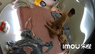 1-11流出乐橙酒店偷拍 坚挺翘奶美女~连续多天被健壮大屌男友调教捆绑快被干死啦 配图2