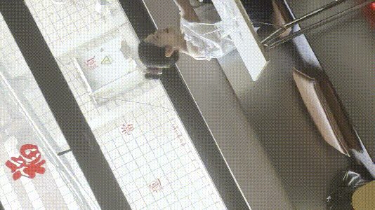 桌球厅女厕全景偷拍多位美女各种极品美鲍鱼2 配图17