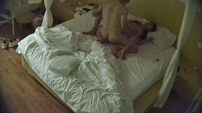 深夜公寓酒店真实激情！7-8位小姐姐深夜狂接客，2小时3波猛男轮番轰炸，大哥舌技 配图5