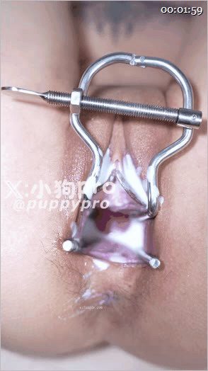 推特淫荡白虎反差福利姬，硬核扩张拳交博主「小狗pro」开发尿管来了+小穴塞丝袜极 配图11