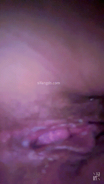 办公楼女厕近距离抄底偷拍三位美女职员的极品嫩鲍鱼 配图5