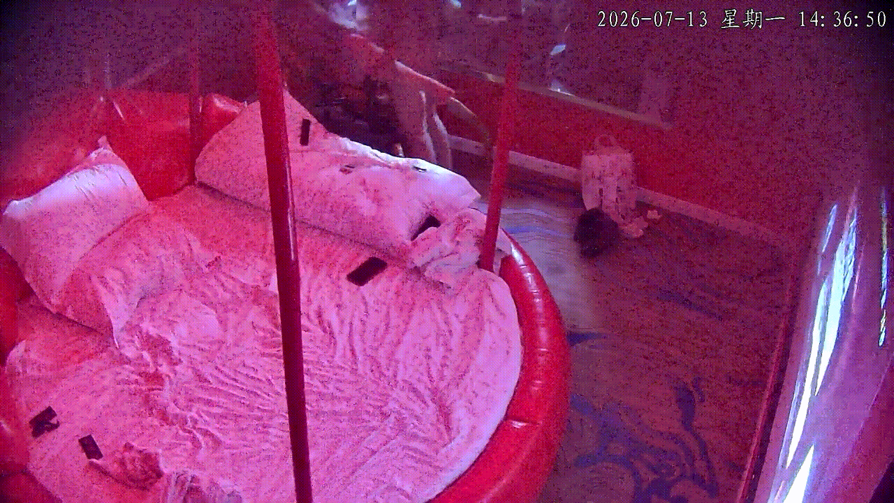 7-13最新爆款流出情趣酒店炮房高清偷拍旗袍美艳同事激情上阵销魂椅，欲仙欲死高潮 配图6