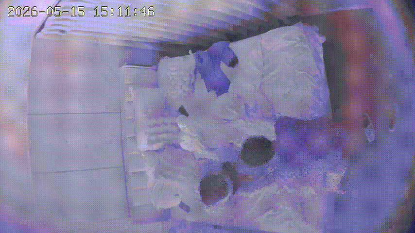 上帝视角5-15：小妹上门服务被猛干！吃药后前后狂操两次暴力拉床边后入高潮 - 老宋论坛-老宋论坛