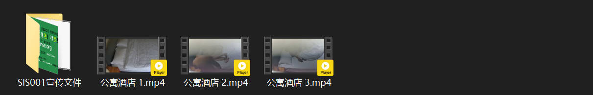 8-28公寓酒店激情偷拍！绝美尤物与猛男开房大战，灯光晃动模糊镜头下的神秘诱惑， 配图8
