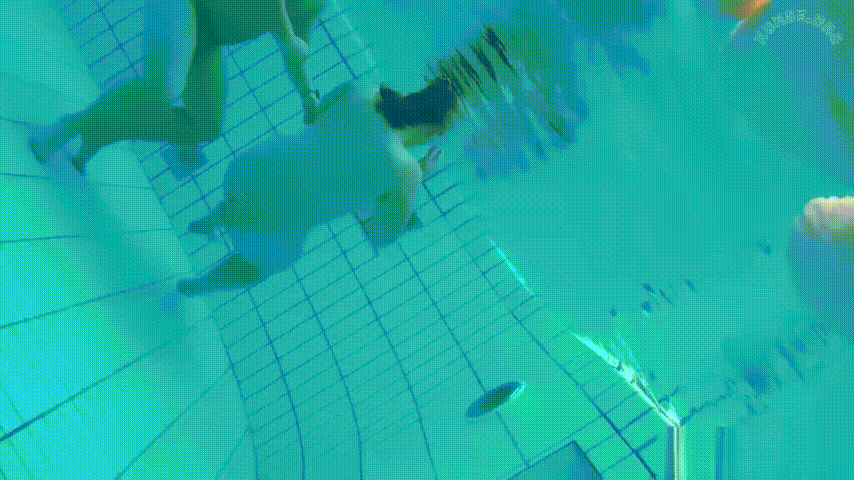 ⁸¹⛳⛳⛳ 男女混游的裸体泳池中惊现老六 带镜头水下偷拍 原来水下真有水面看不到的东西 水下打炮人浪水也浪啊 愃氺 - 老宋论坛-老宋论坛