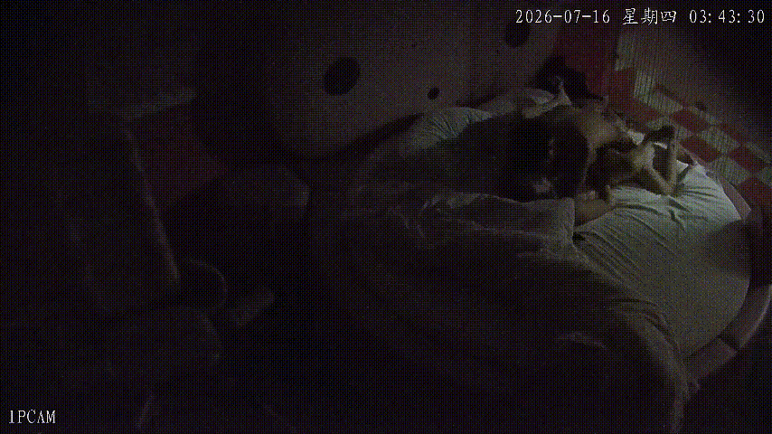 春宵阁 7-16 炮房激战升级！男人抱起女人狂操不停，床上玩到床下把她彻底干累瘫 配图7