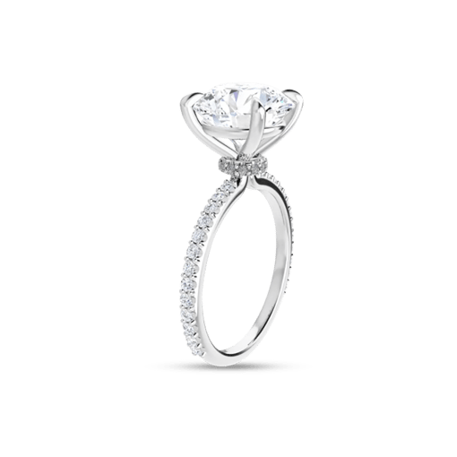 round-moissanite-hidden-halo-engagement-ring-123305rd_4