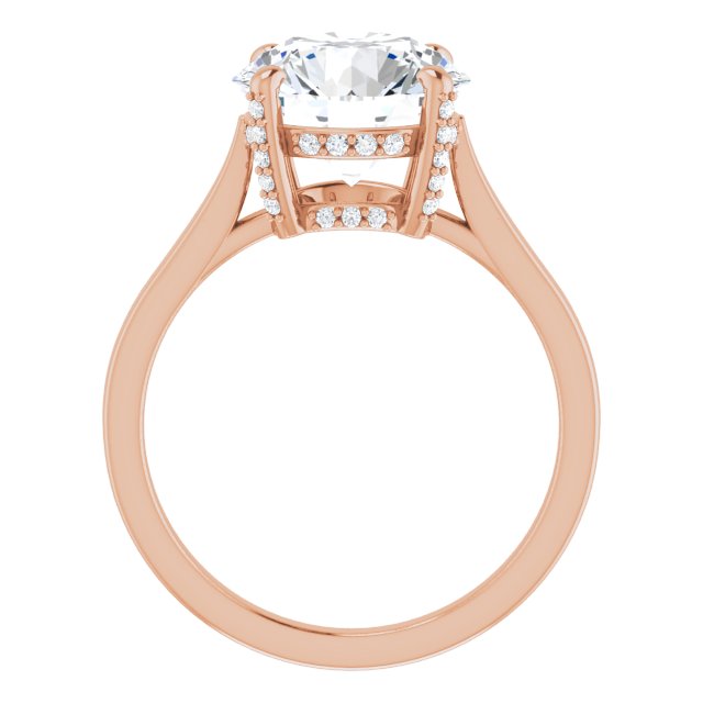 3.74 carat Round Diamond EF/VS1+ Classic Solitaire Engagement Ring in 14KR | ViewB_4