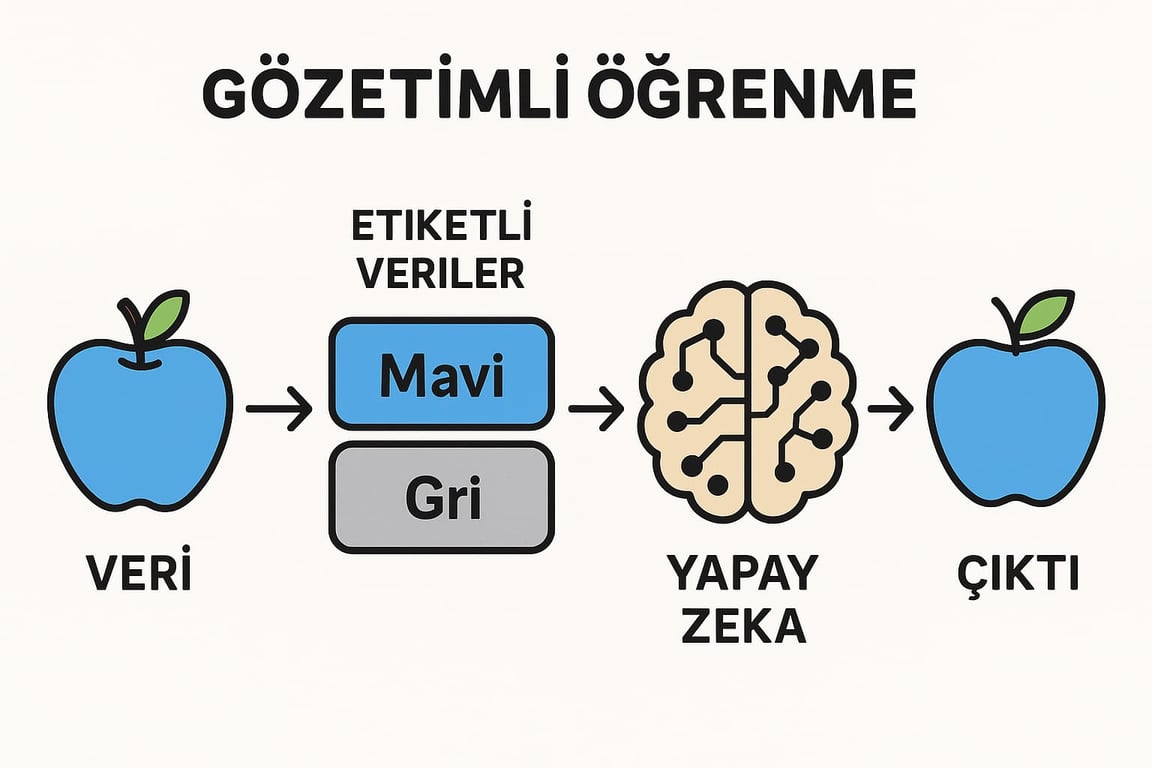 gözetimli öğrenme örneği