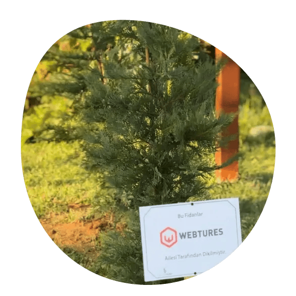 Carbon-neutral roadmap illustration