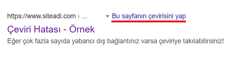 Çeviriye takılan site örneği