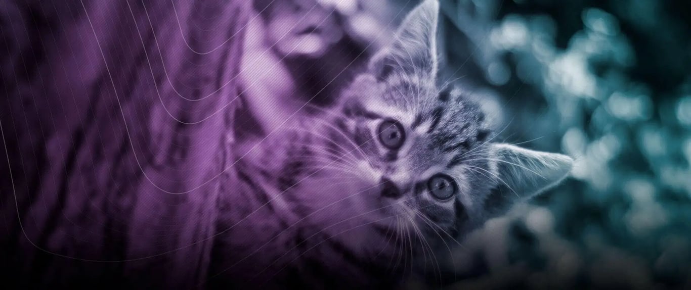 Dorukgiller Veterinary Clinic