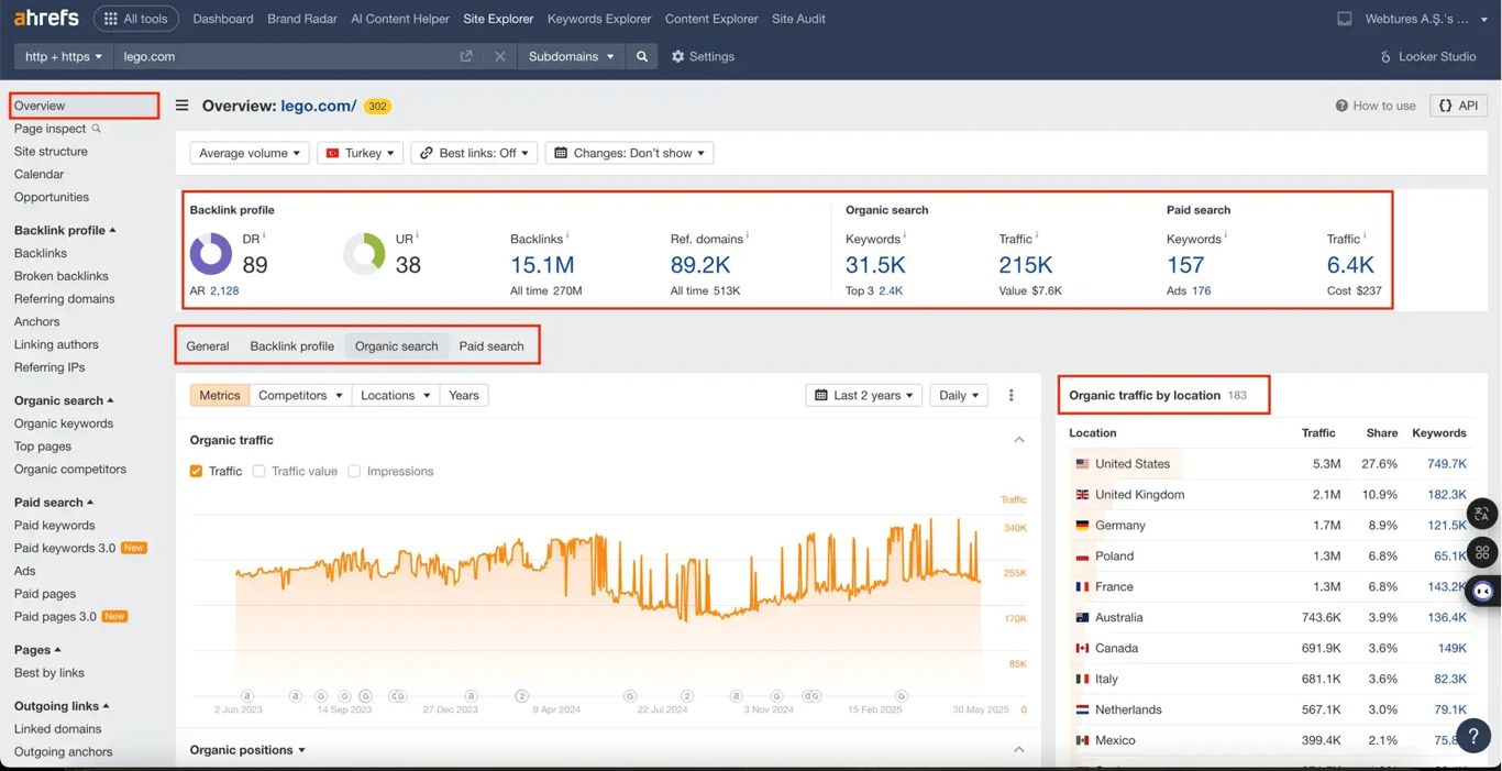 ahrefs overview alanı