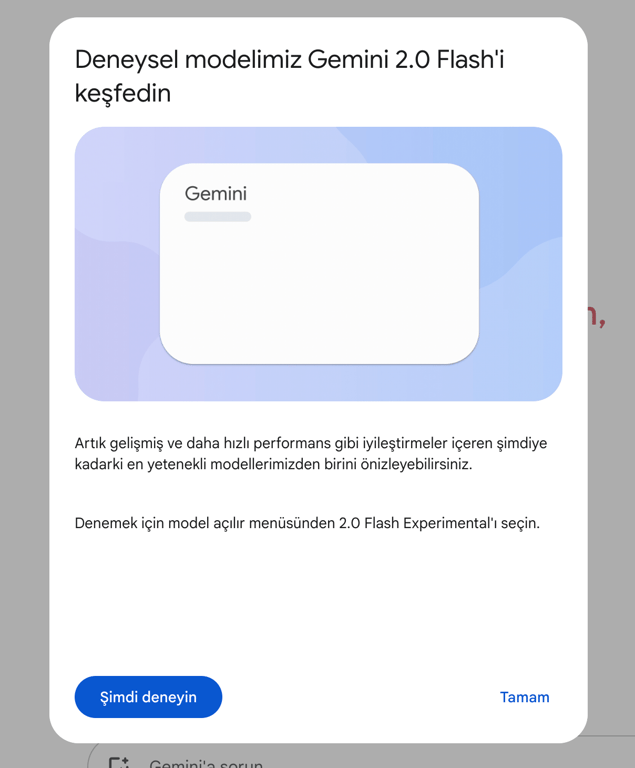 Google Gemini Özellikleri