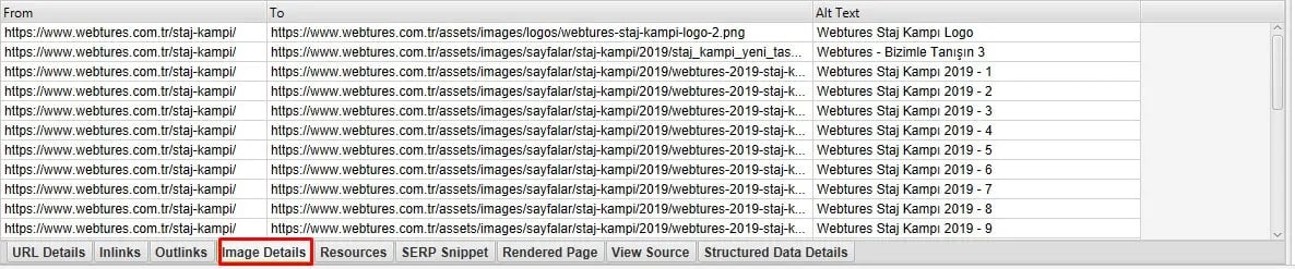 Screaming Frog Image Details