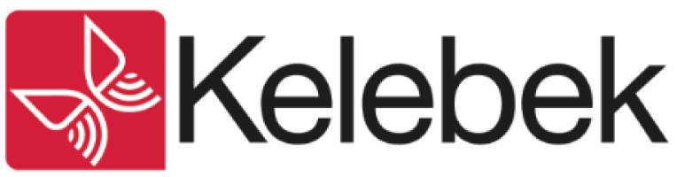 kelebek2
