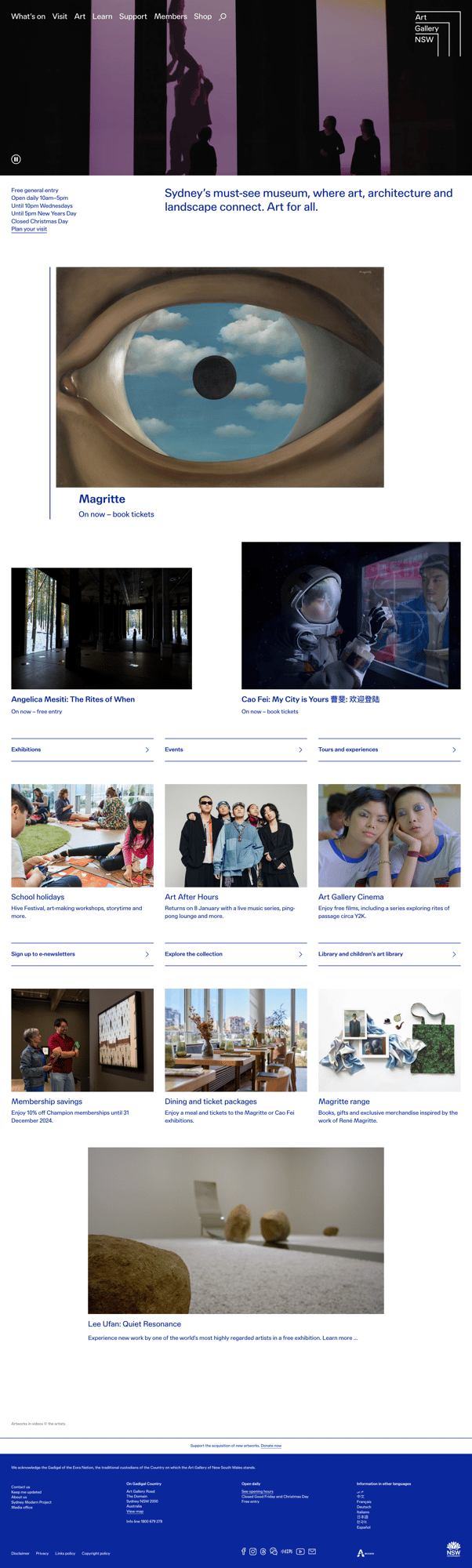 Screenshot of Art Gallery of NSW website