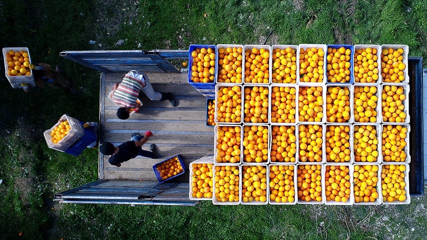 Sadece bugün 4 farklı ürünümüz yüksek oranda pestisit ve aflatoksin sebebiyle Avrupa Birliği kapılar...