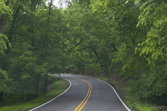 Định nghĩa bố cục đường dẫn và cách sử dụng nó để tạo ra bức ảnh đẹp