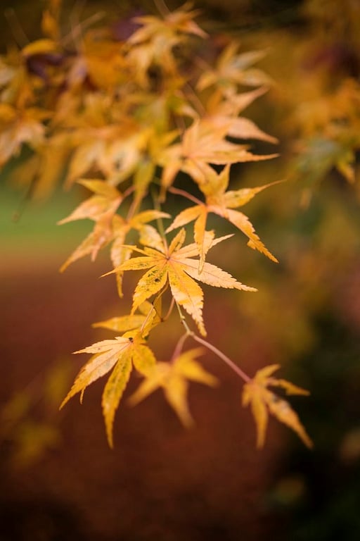 Ống kính Fujifilm XF 33mm F1.4 R LM WR -4