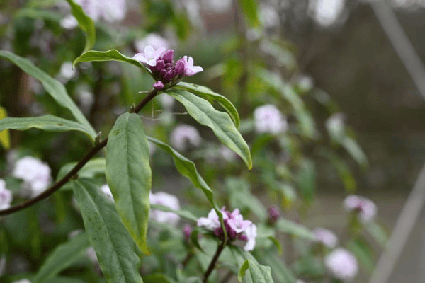 Ống k&iacute;nh Nikon Nikkor Z 24-120mm F4 S -2