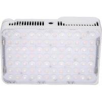 Đèn led Amaran Ace 25c Trắng