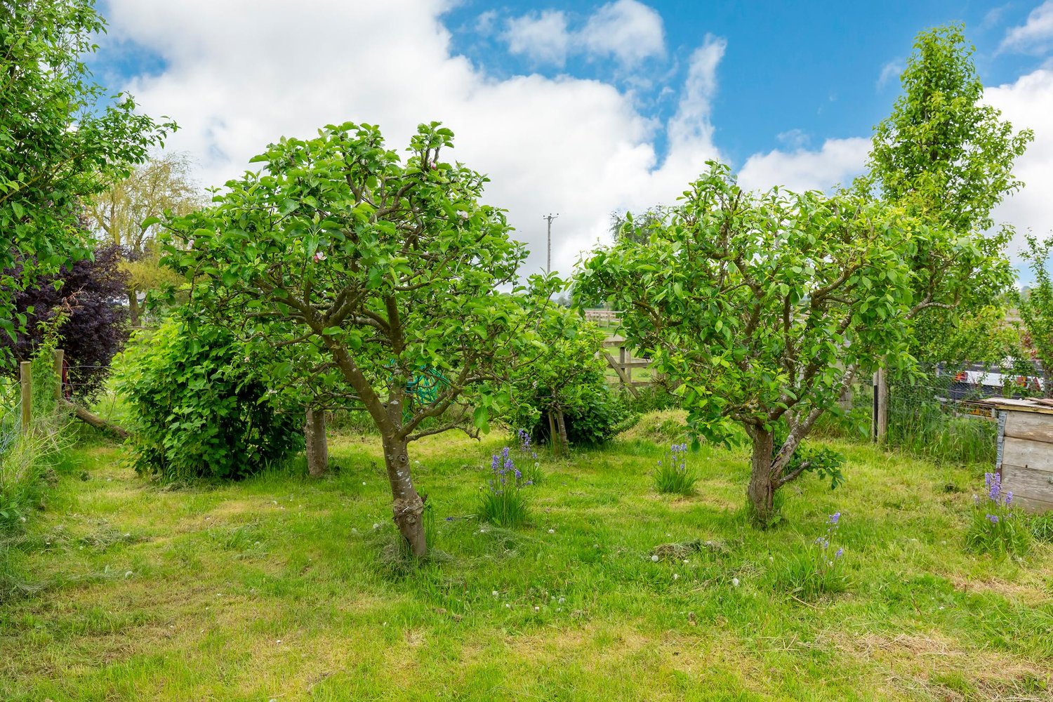 5 Broadlands, Bolton, York