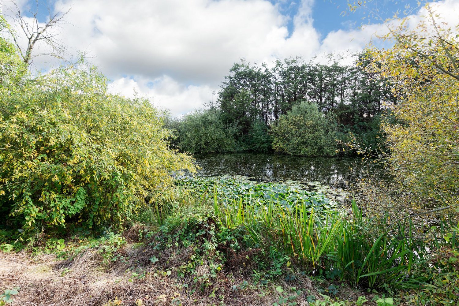 Sandholme House Landing Lane, Gilberdyke, Brough