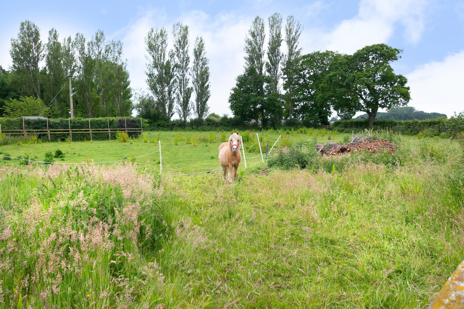Little Oaks Mill Lane, Seaton Ross, York