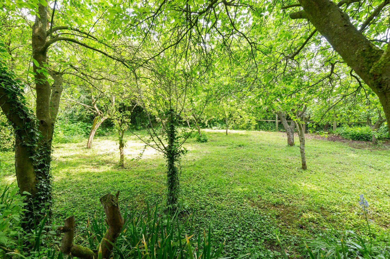 Crows Nest ., Pocklington, York
