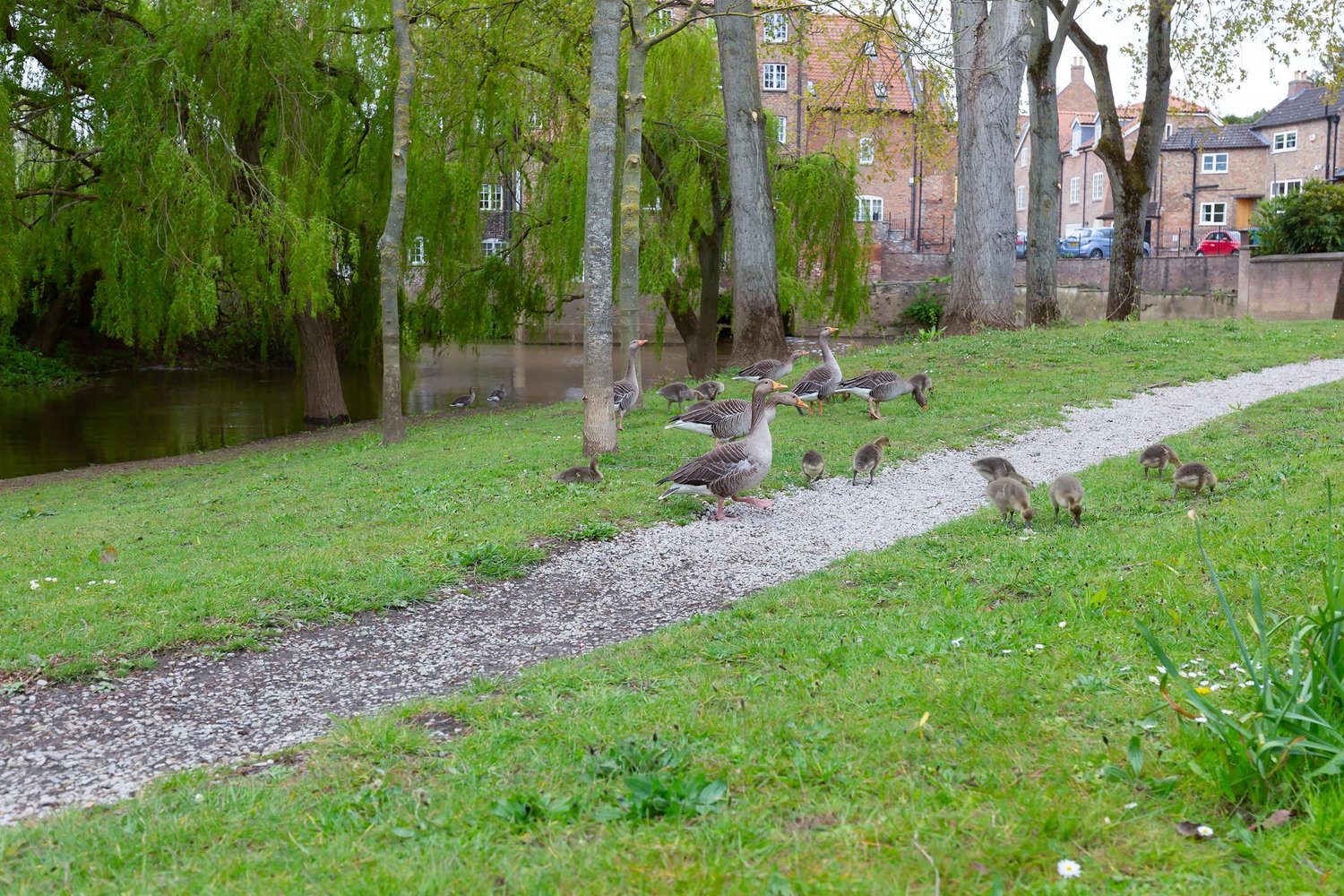 2 Manor Court, Buttercrambe Road, Stamford Bridge