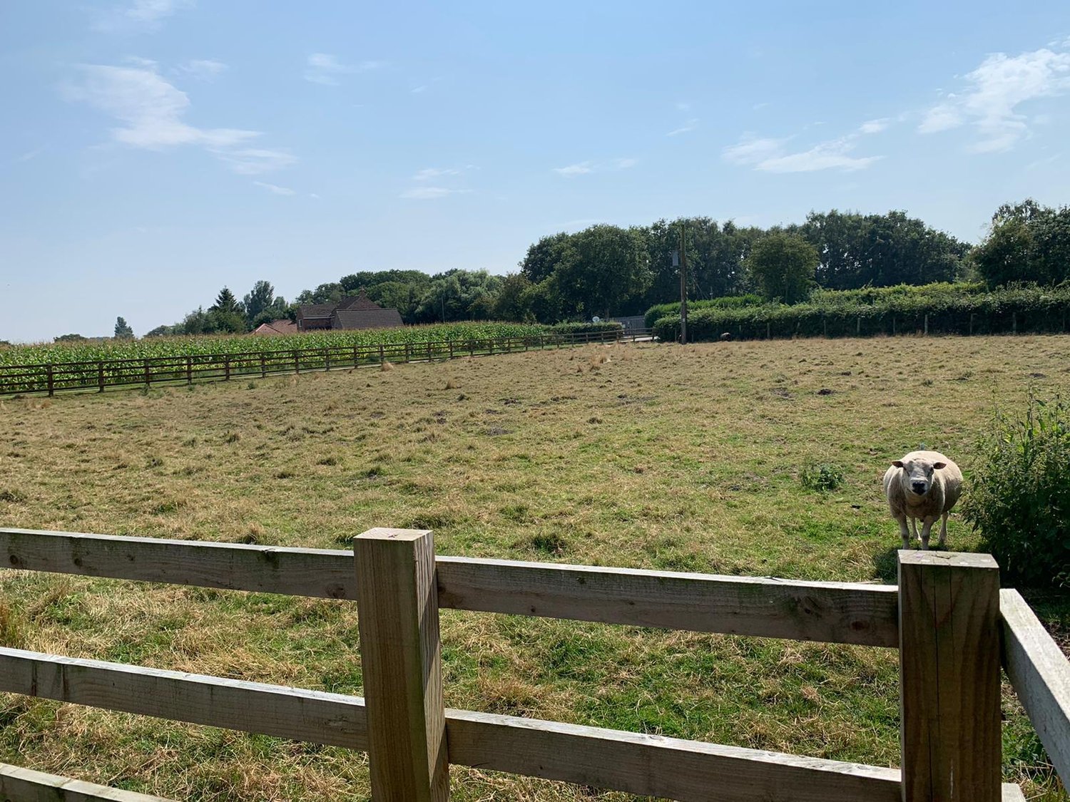 Dial Hall Farm , Seaton Ross, York