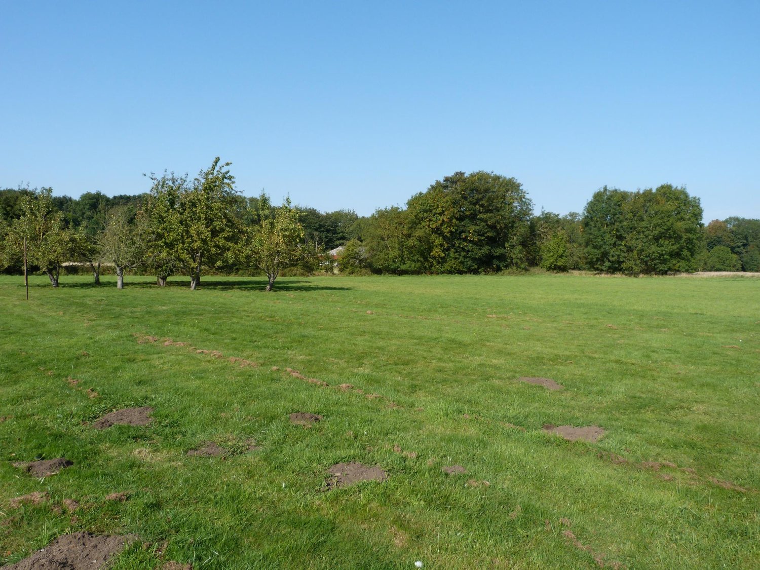 Eastwood Common Road, Barkston Ash, Tadcaster