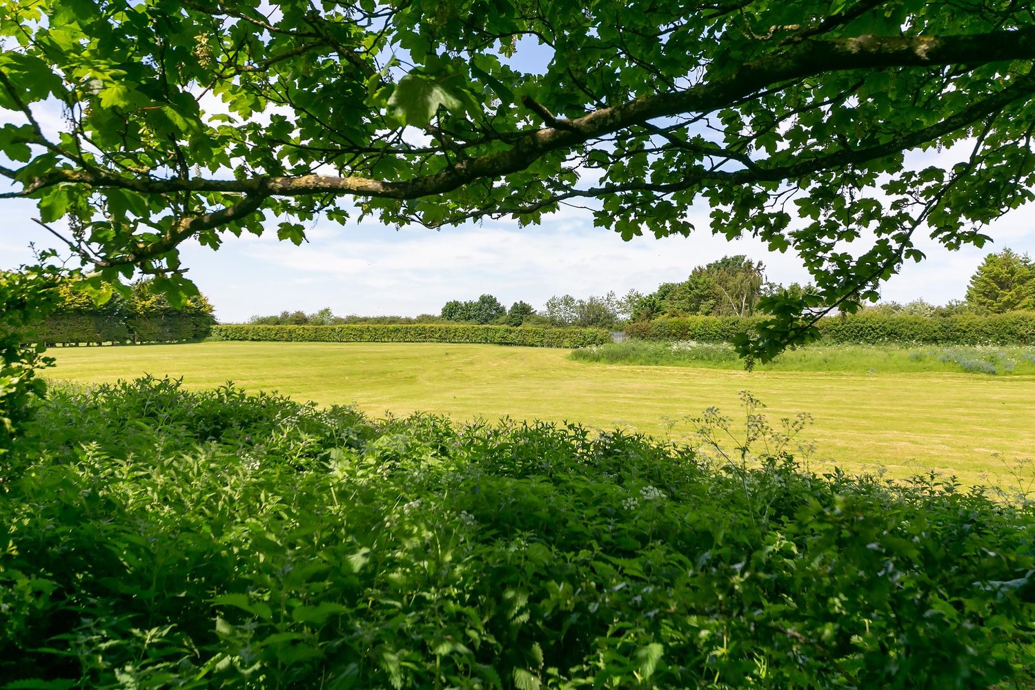 Hazeldene York Road, Shiptonthorpe, York