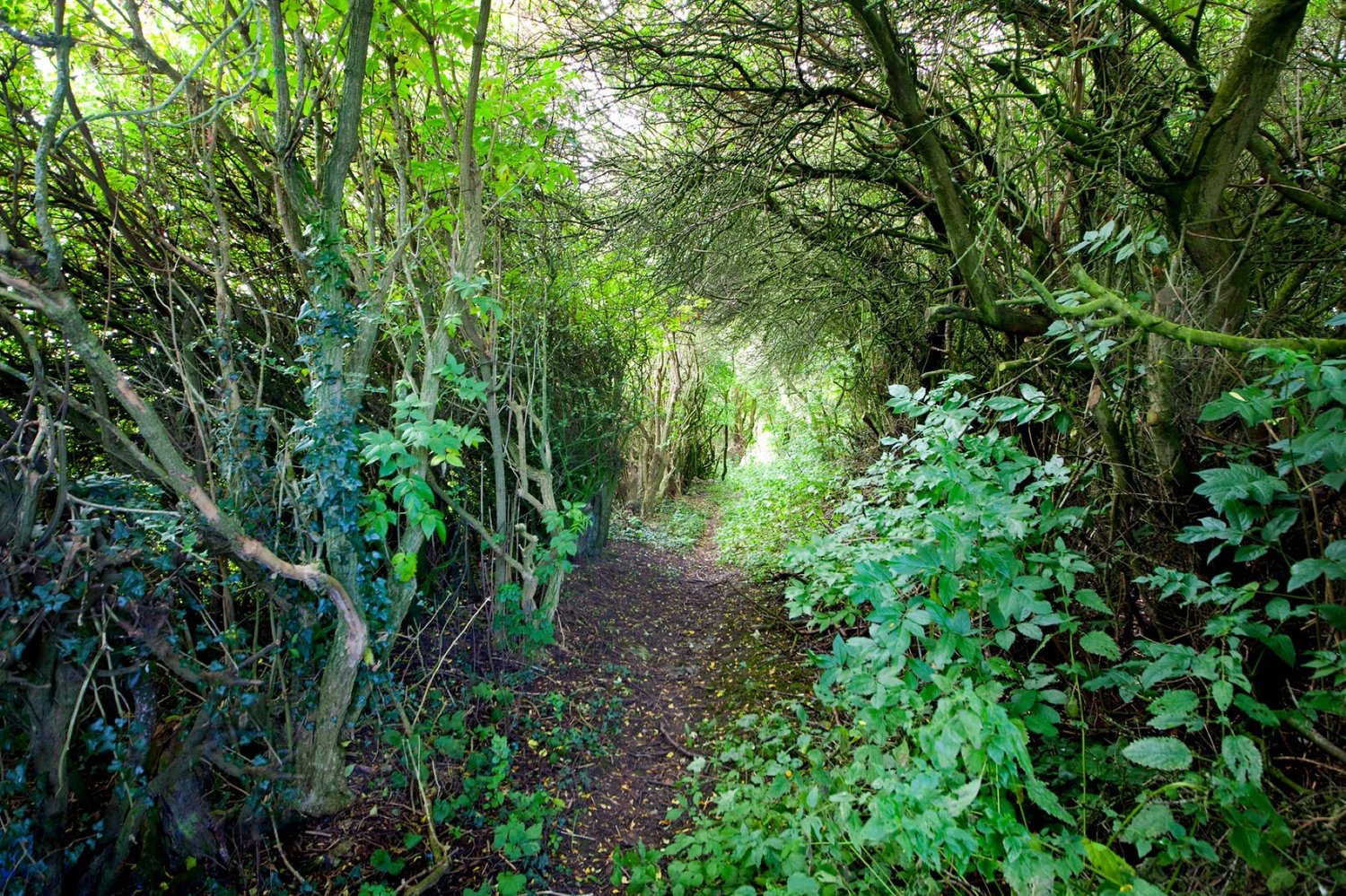 Manor Barn , Full Sutton , York