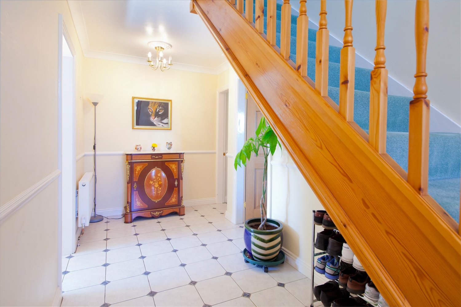  The Appleyard, Aughton, York