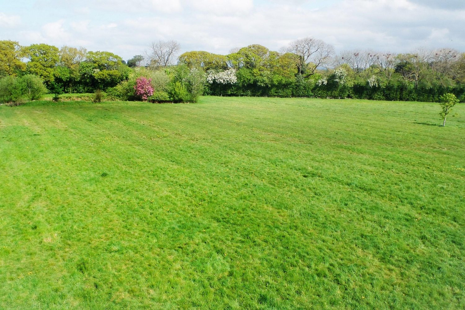 Rose Villa Farm Holme Road, Spaldington, Goole