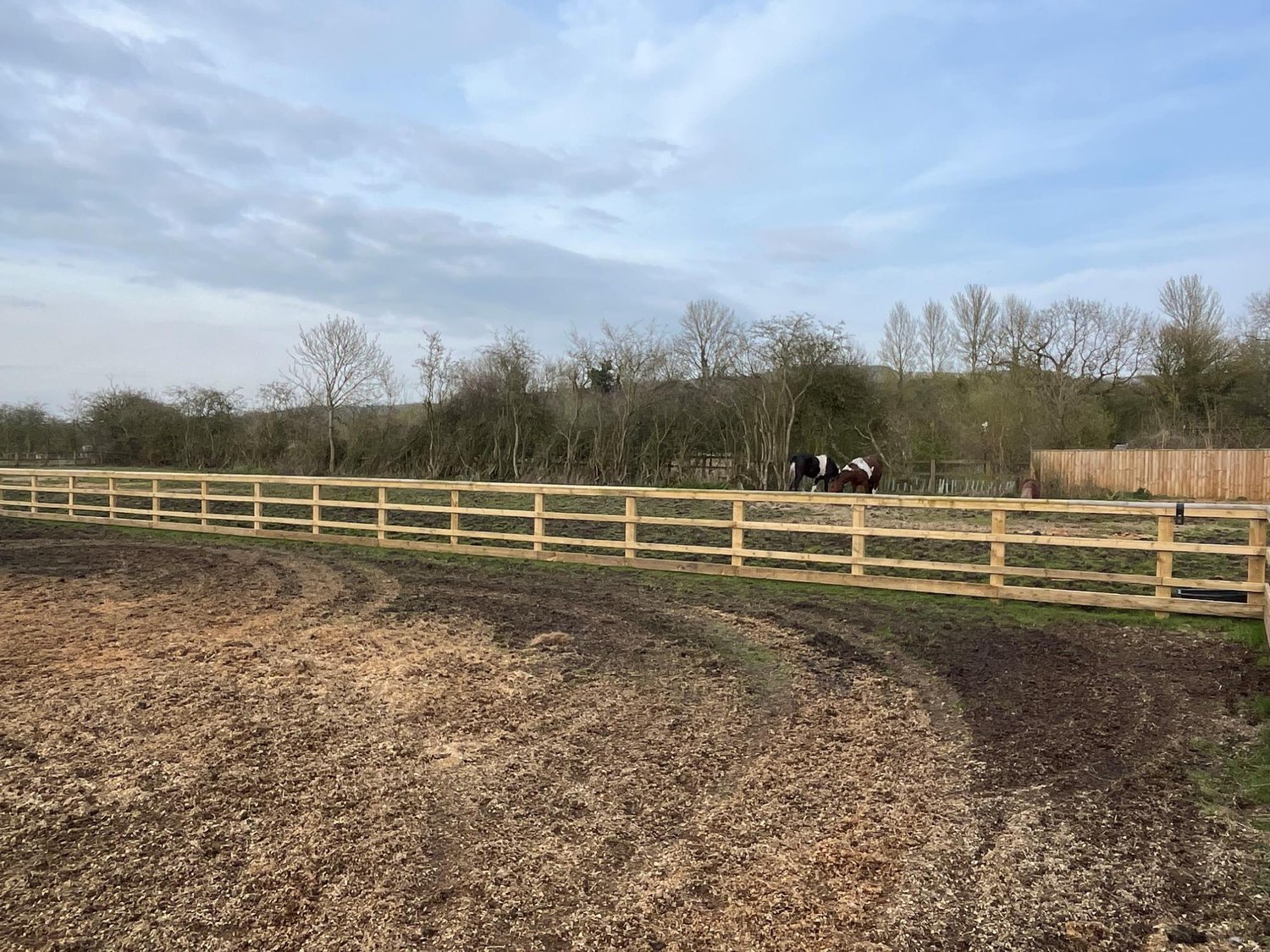 Owl House Stables  Vicarage Lane, Bishop Wilton 