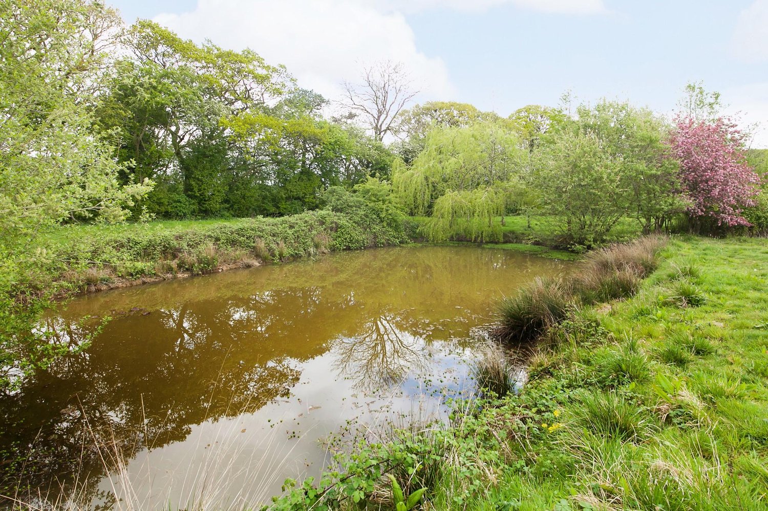 Rose Villa Farm Holme Road, Spaldington, Goole