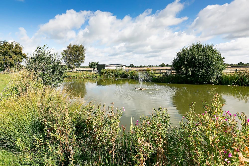 Salhouse ., Highfield, Selby