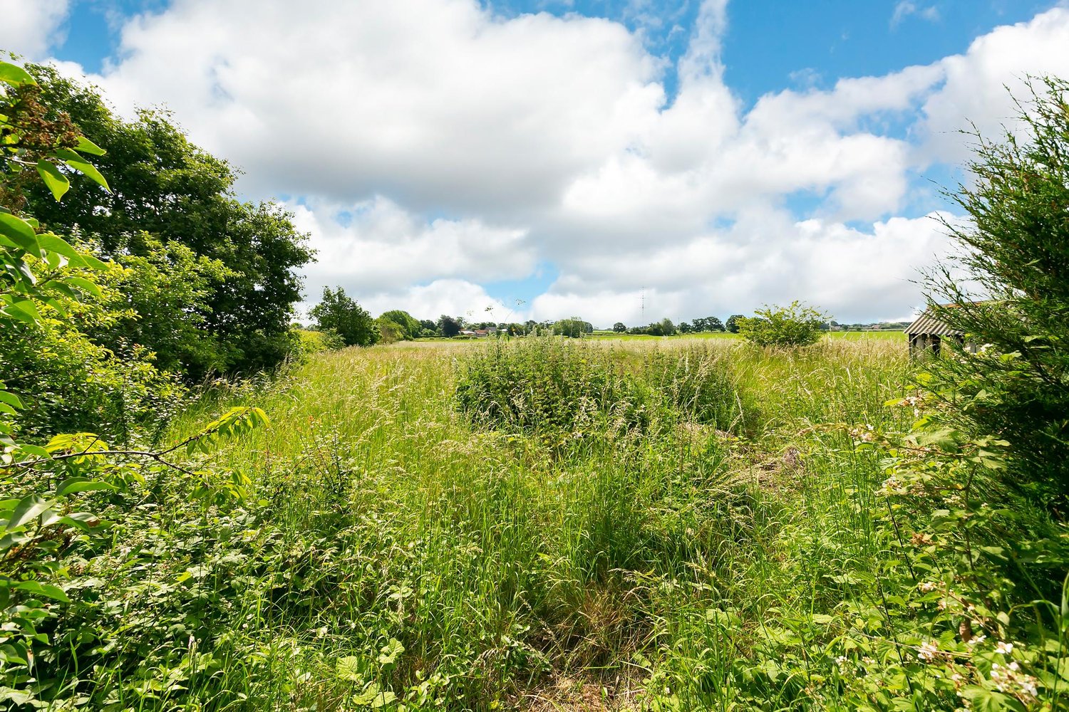 *Braemar York Road, Wilberfoss, York