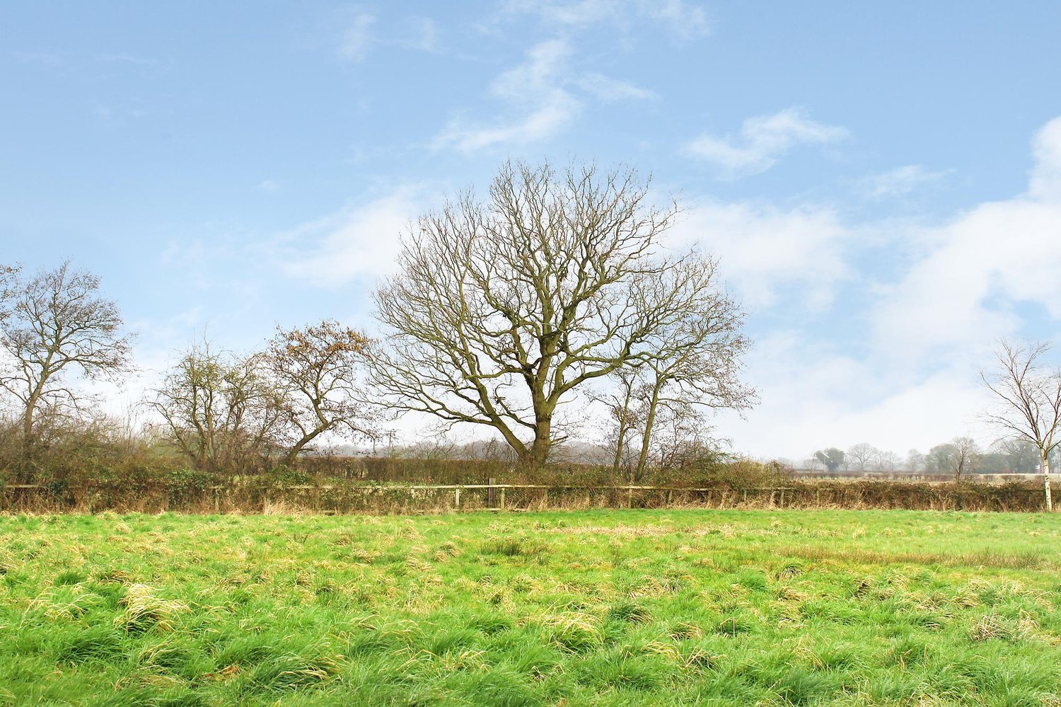 Plot 9 Springfield Close, North Duffield