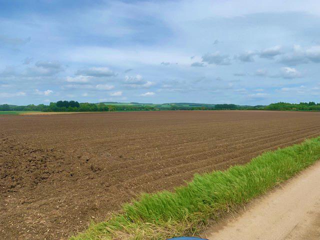 Land on 'The Balk', Pocklington  The Balk, Pocklington, York