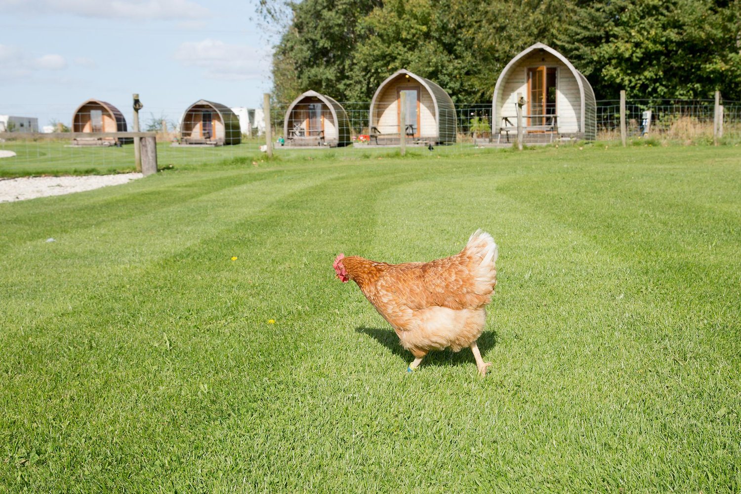 *Yapham Holds Farmhouse Feoffee Lane, Pocklington, York